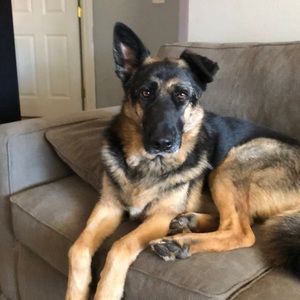 Meet your Posher, Gary